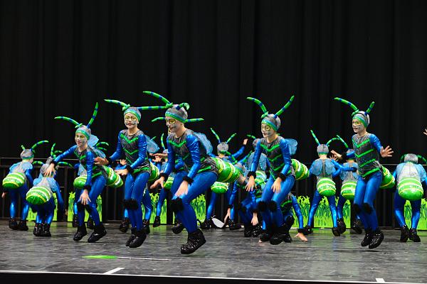 20151121Tanztunier der Karnevalisten __50.jpg - Soul-city- Dancers TSV Sa. 21.11.2015,Hannover (Foto:Herbert Frost)